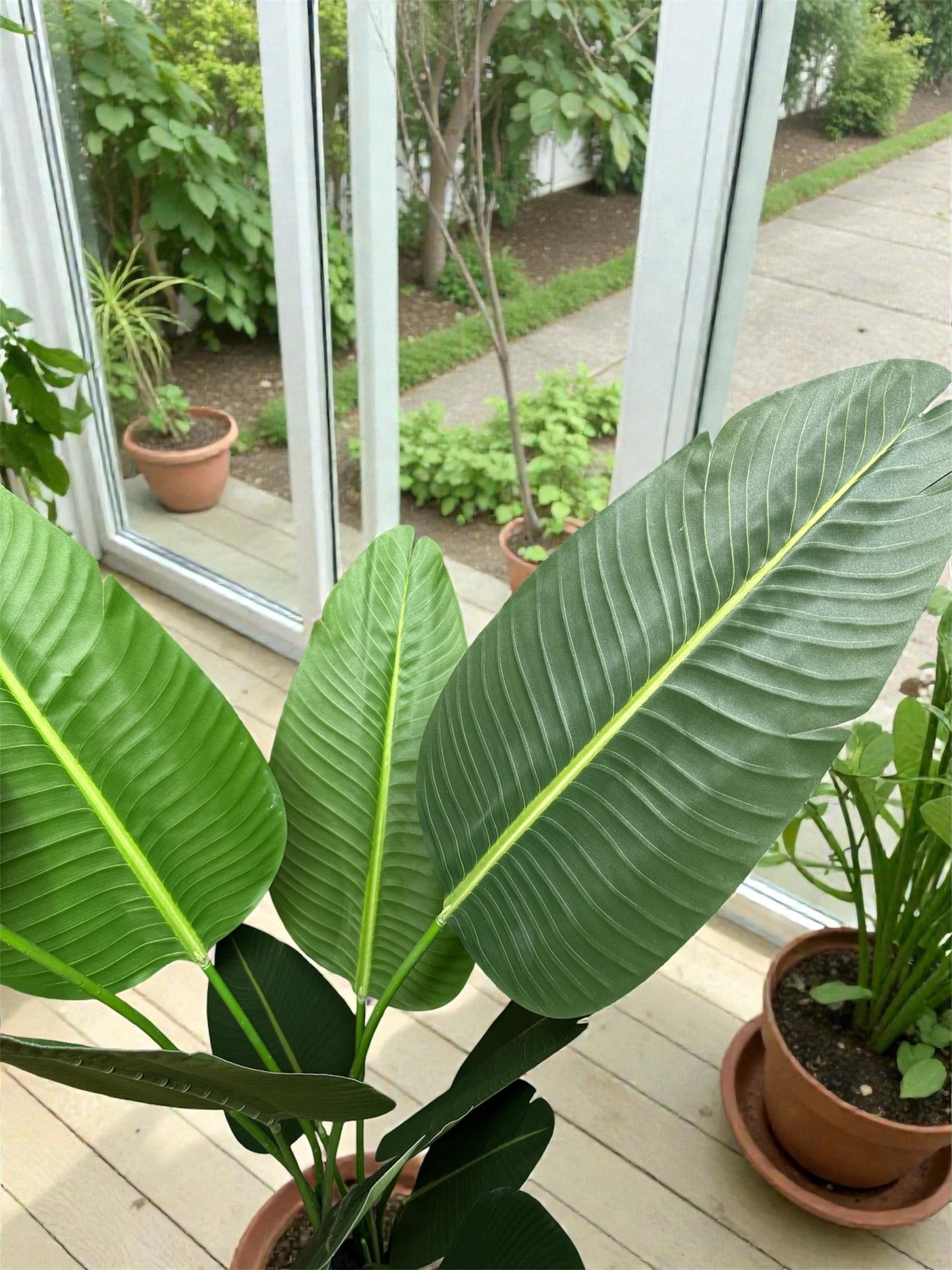 Albero del viaggiatore artificiale