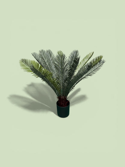Sago Cycas artificiale