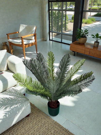 Sago Cycas artificiale