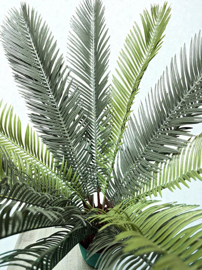 Sago Cycas artificiale