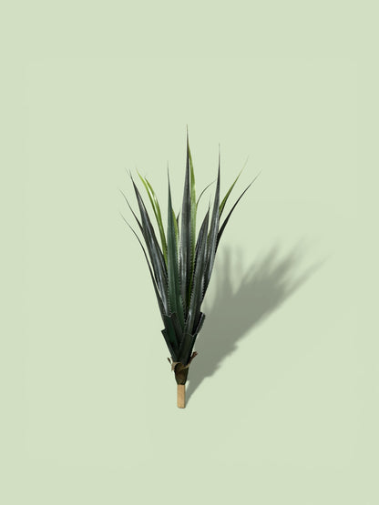 Aloe artificiale