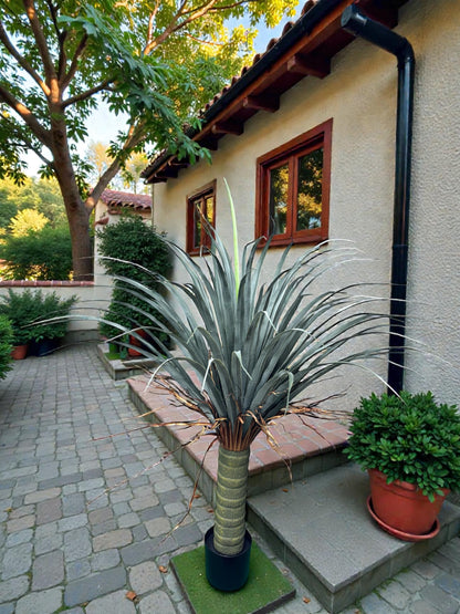 Yucca artificiale