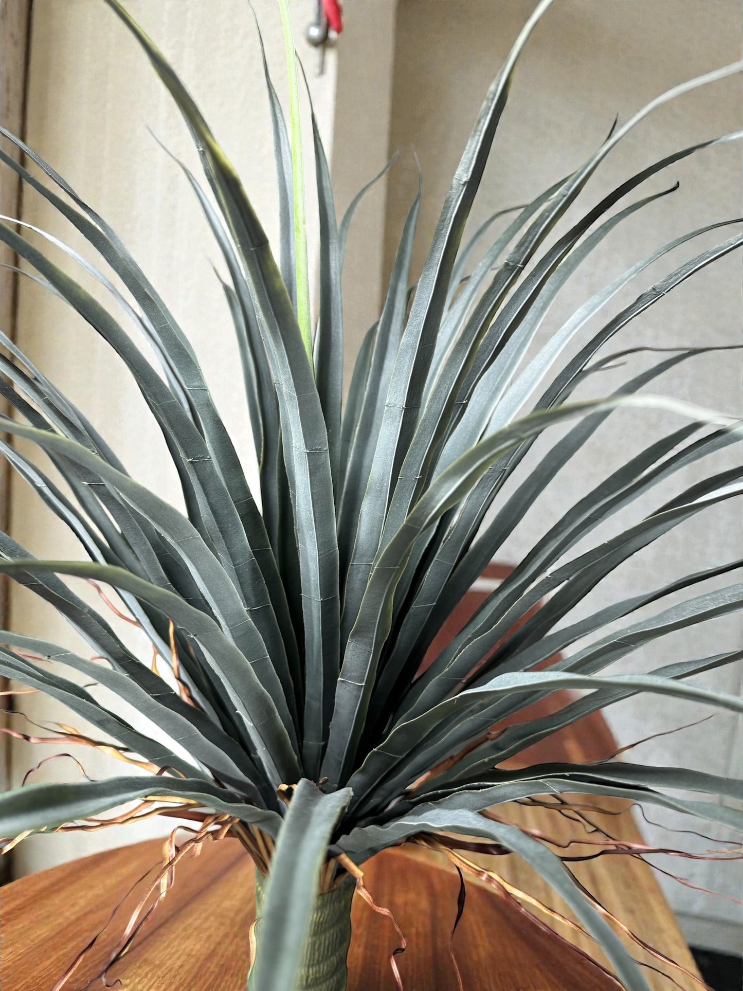 Yucca artificiale