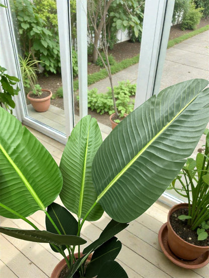 Albero del viaggiatore artificiale